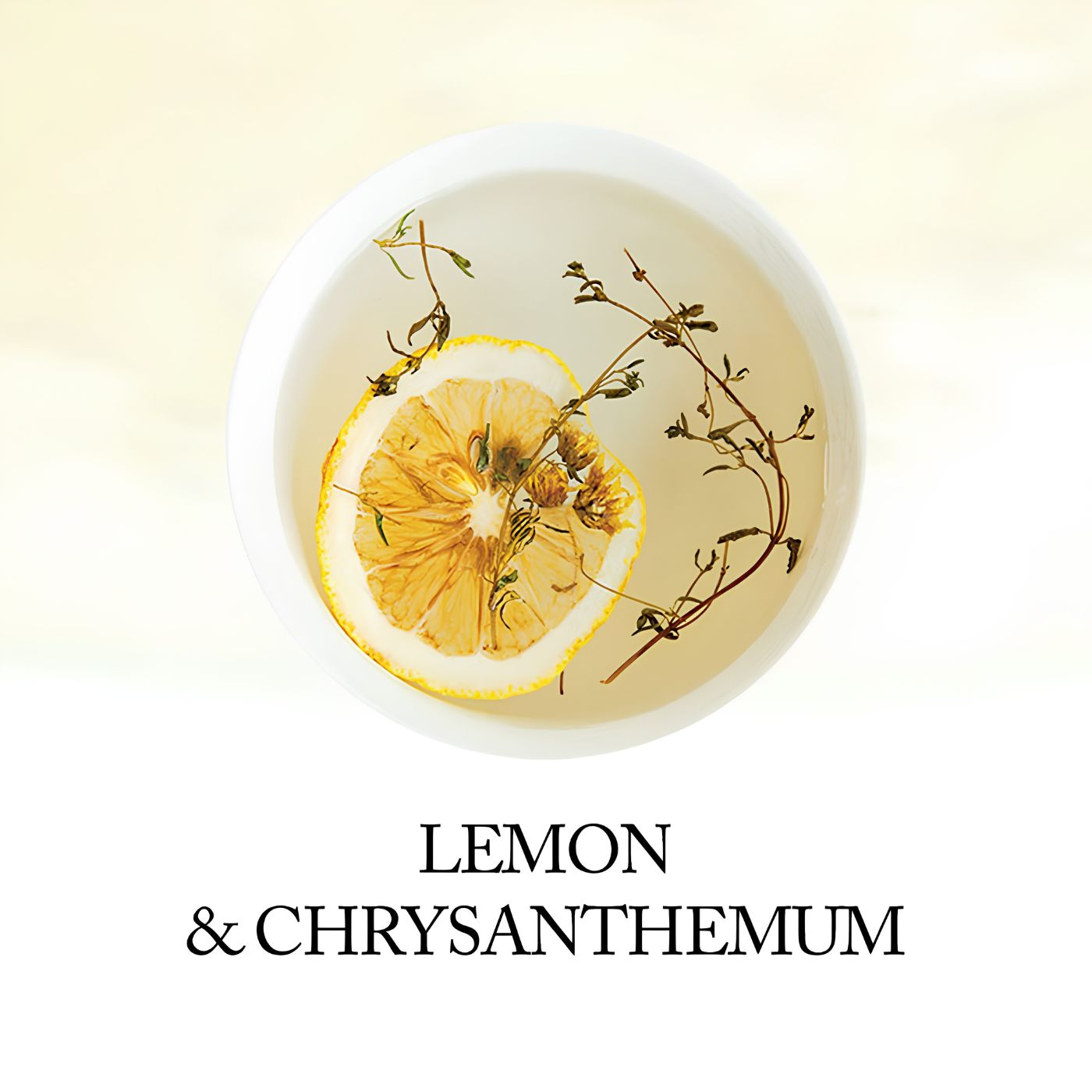 Lemon chrysanthemum flower tea