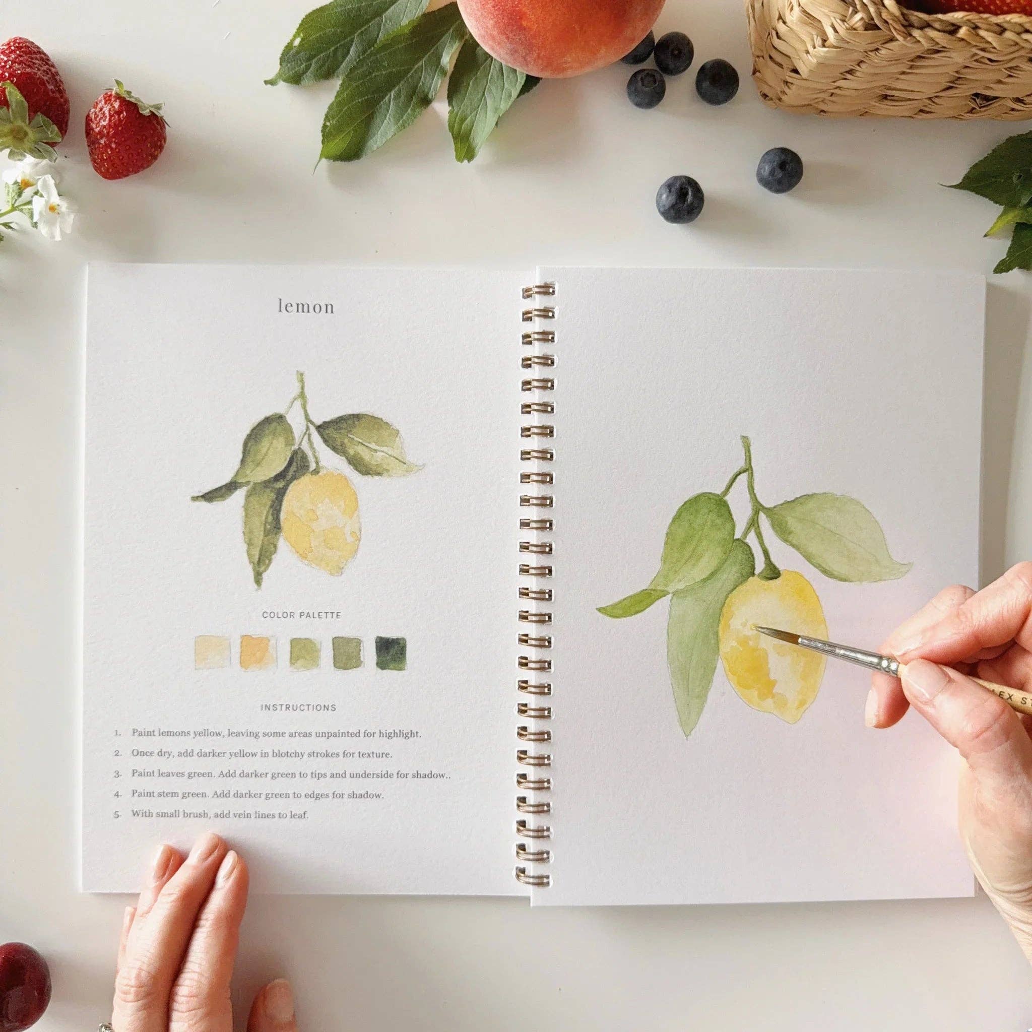 Fruit watercolor workbook painting pages