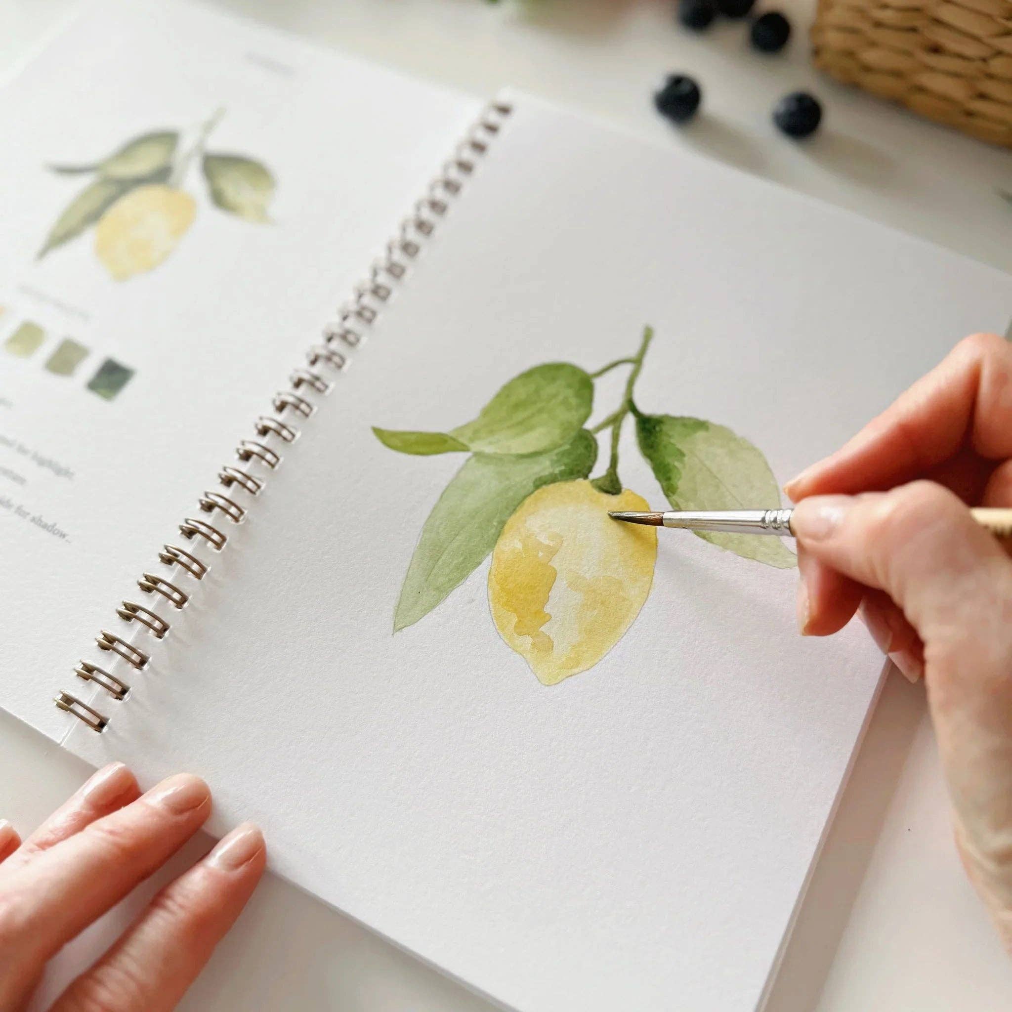 Fruit watercolor workbook painting pages close up