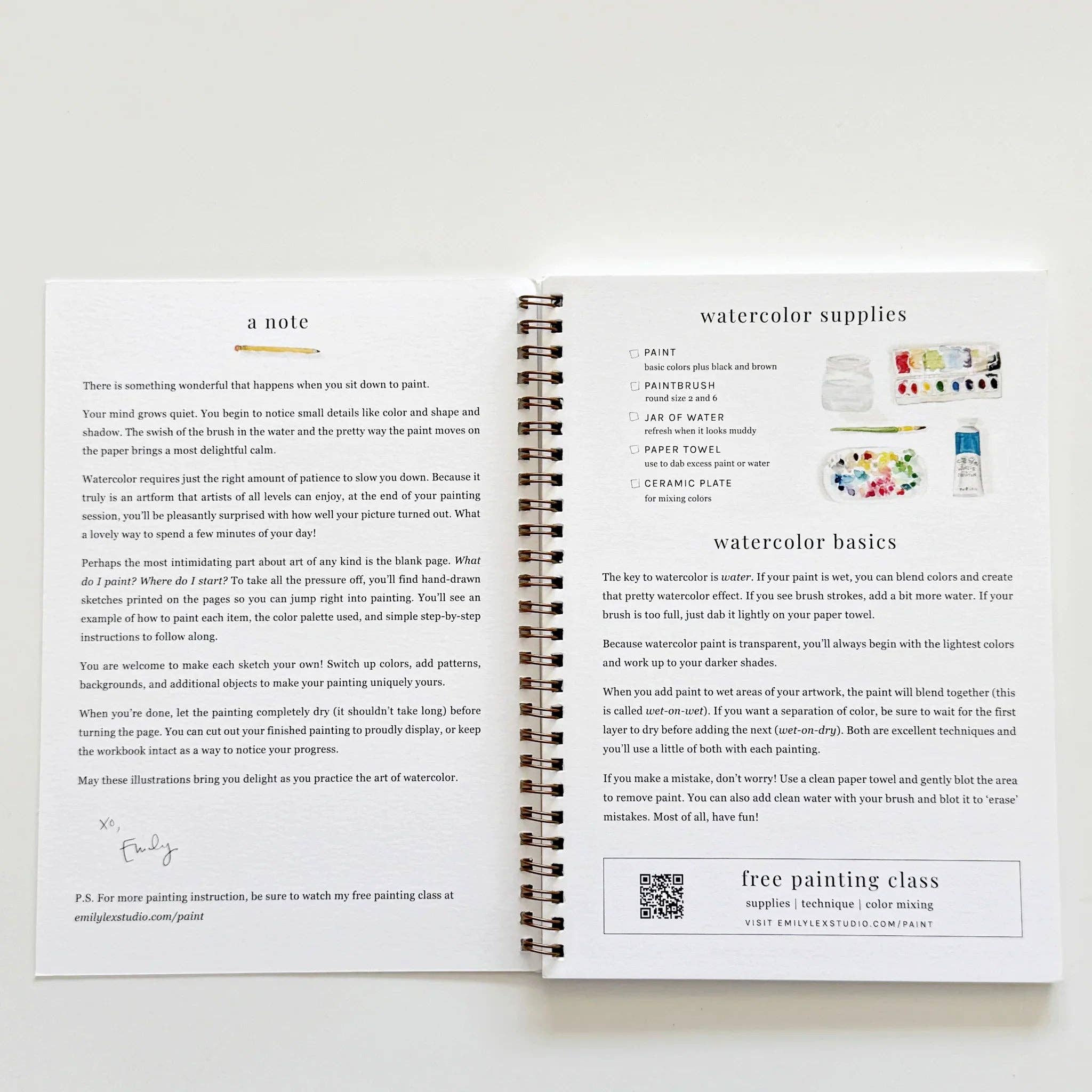 Spiral bound watercolor workbook fruit theme with instructions