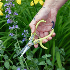 Garden scissors trimming outdoor plants