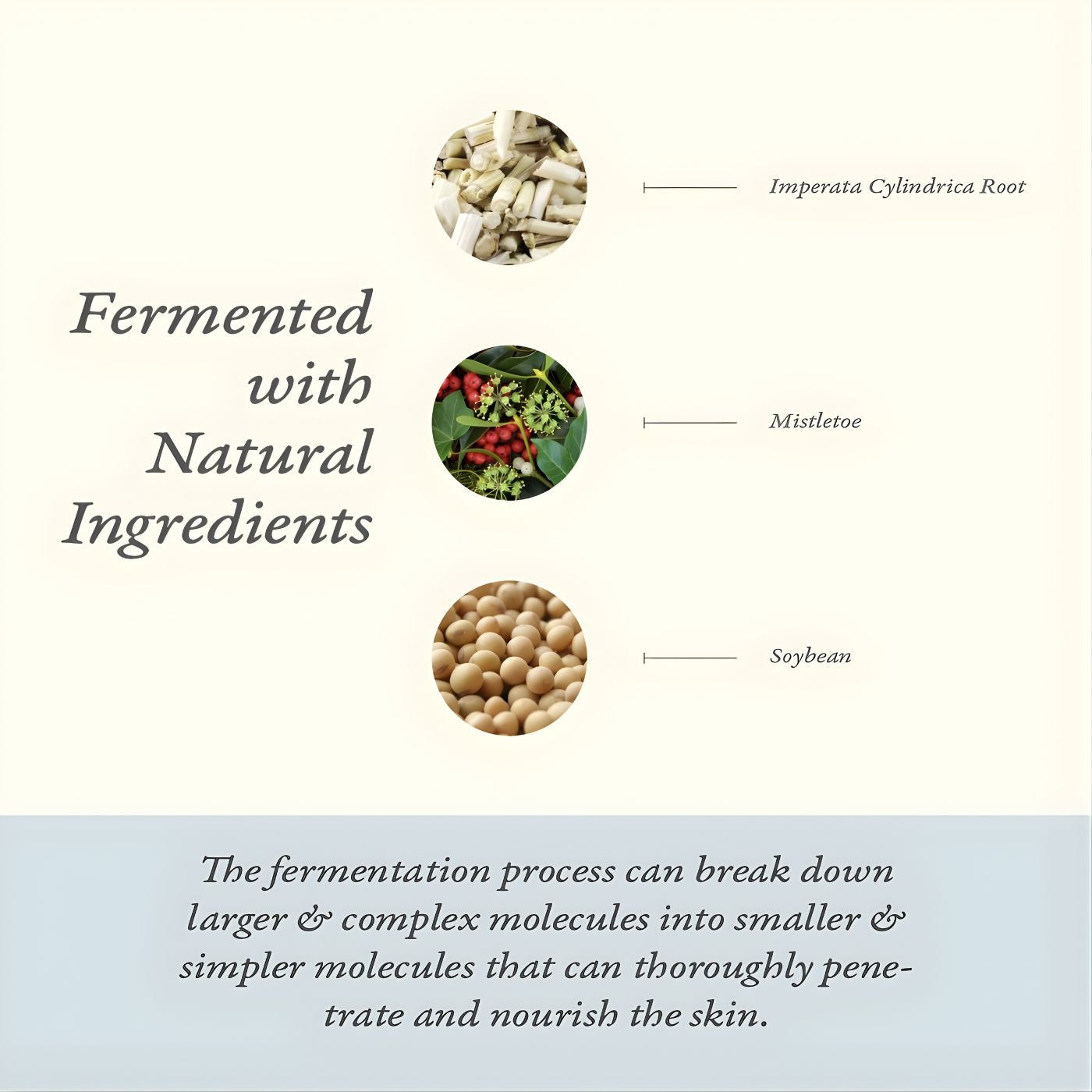 Botanical renewal cream styled with natural ingredients