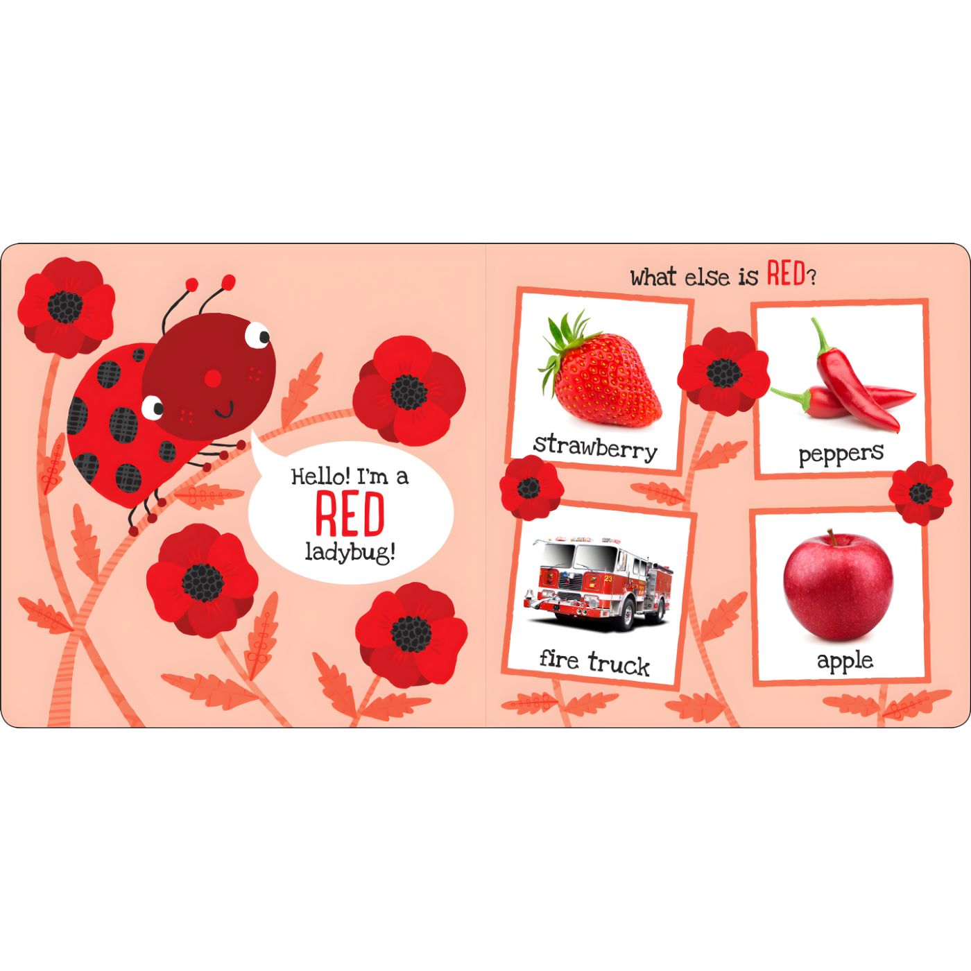 I'm Learning My Colors! Board Book