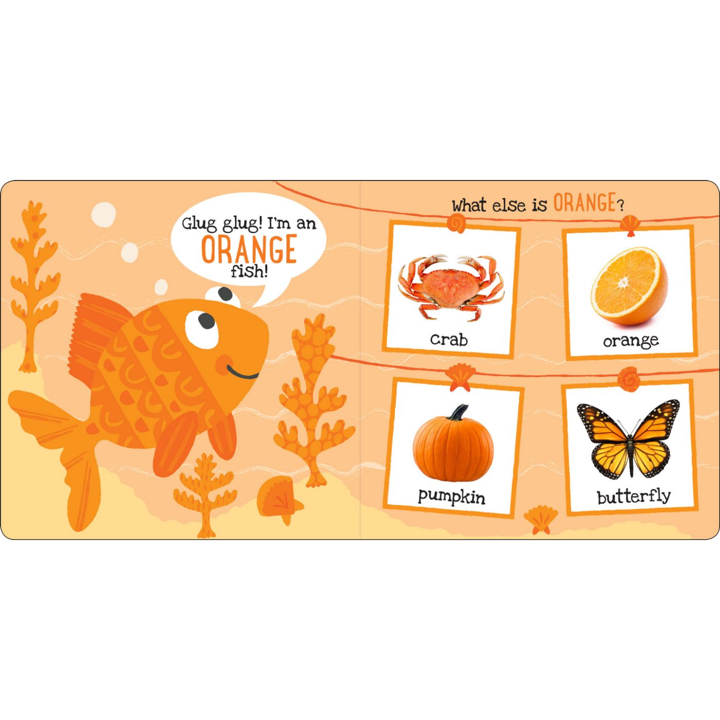 I'm Learning My Colors! Board Book