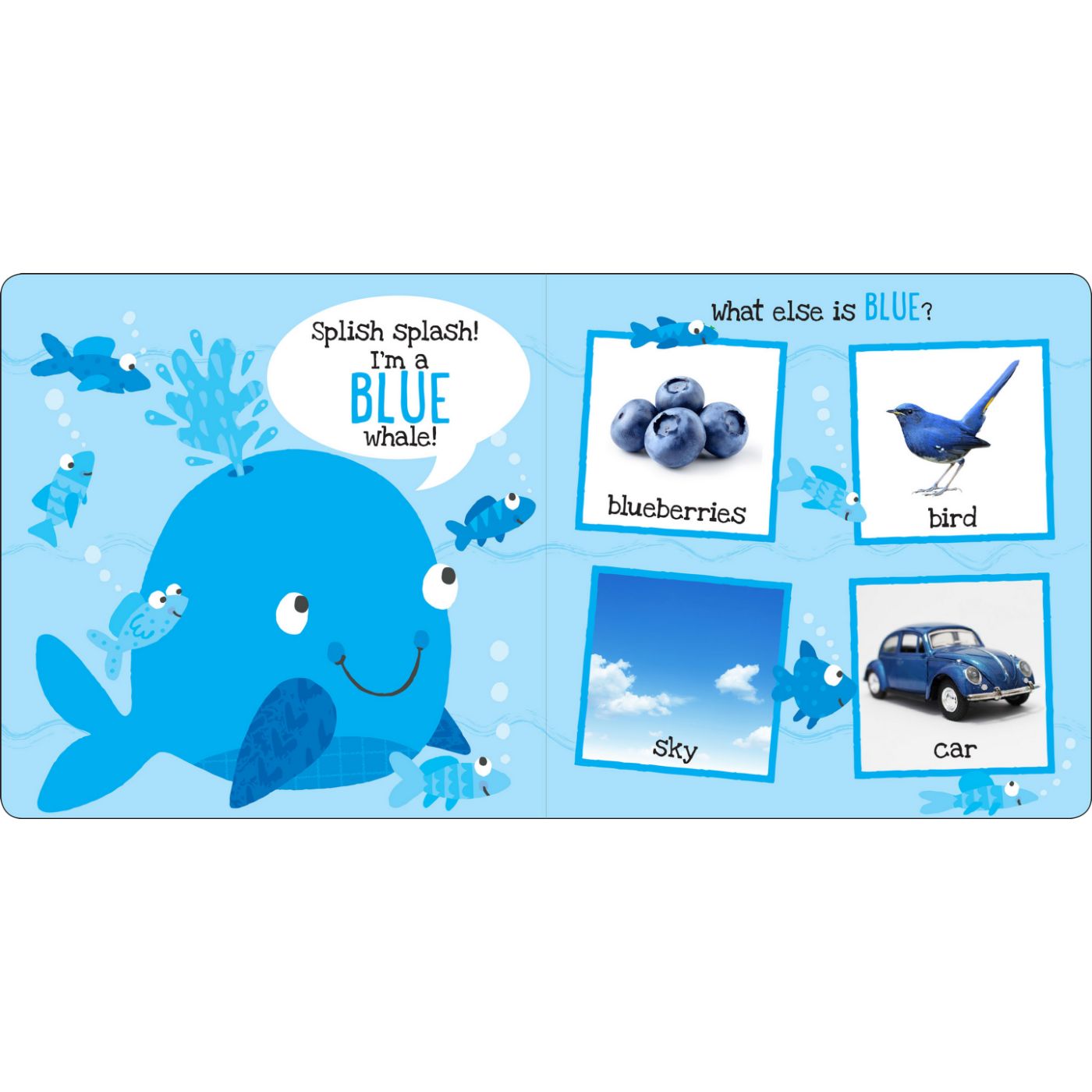 I'm Learning My Colors! Board Book