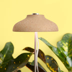 USB grow lamp providing light to indoor plant