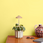 Indoor plant grow lamp in potted plant