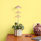 Adjustable height houseplant light on desk