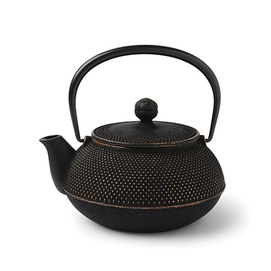 Iwachu Black Hobnail Cast Iron Teapot – Japanese Tetsubin 0.65L (22 oz)