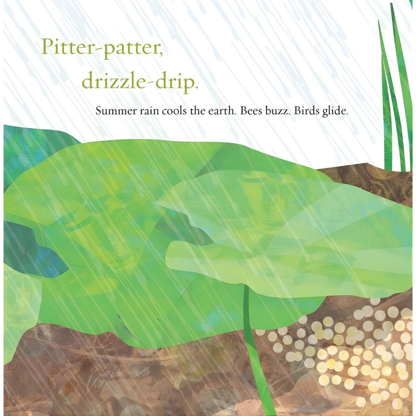 Light the Sky, Firefly! Picture book