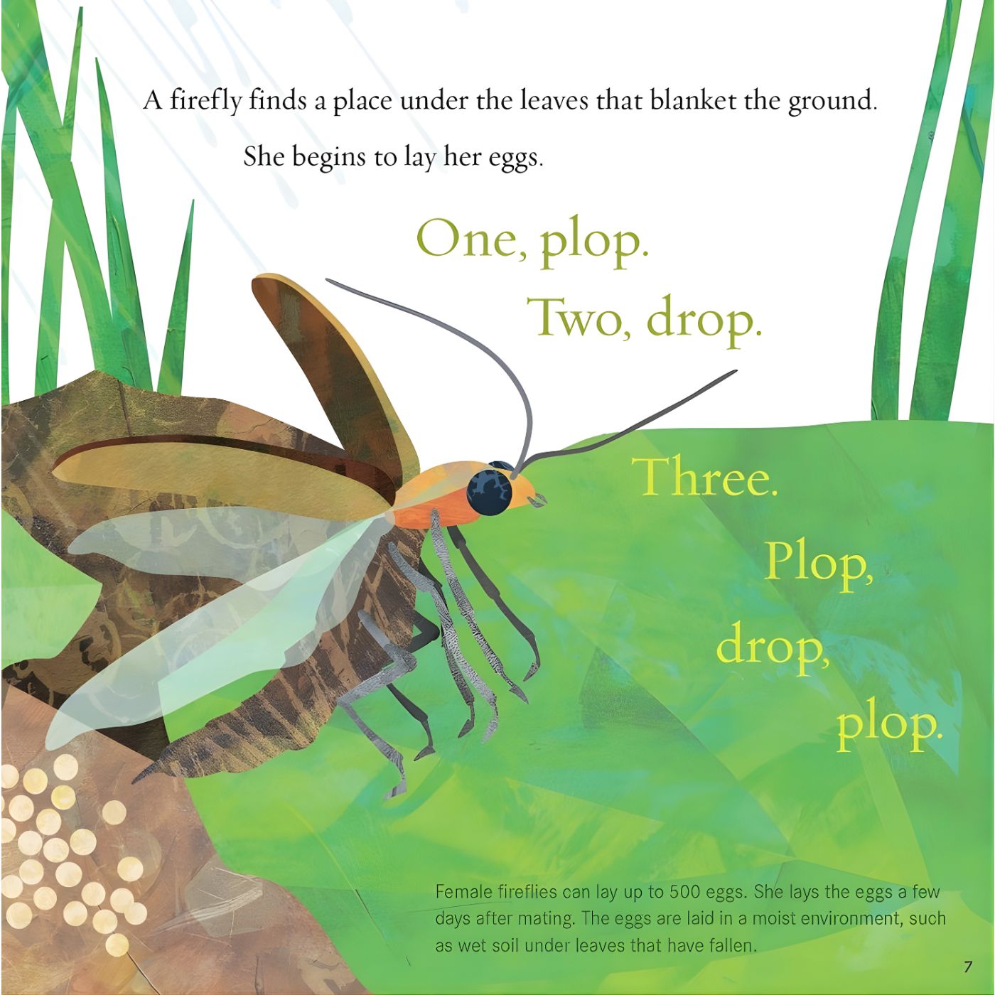 Light the Sky, Firefly! Picture book