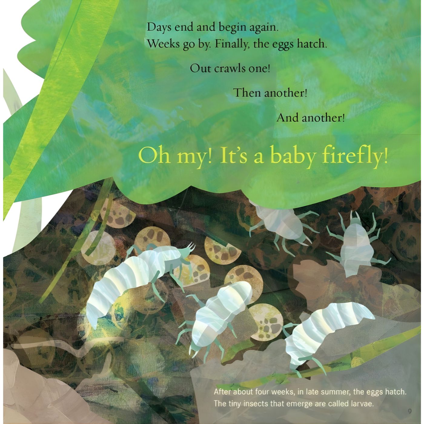 Light the Sky, Firefly! Picture book