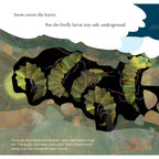 Light the Sky, Firefly! Picture book