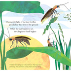 Light the Sky, Firefly! Picture book