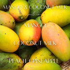Mango & Coconut Milk Flavor