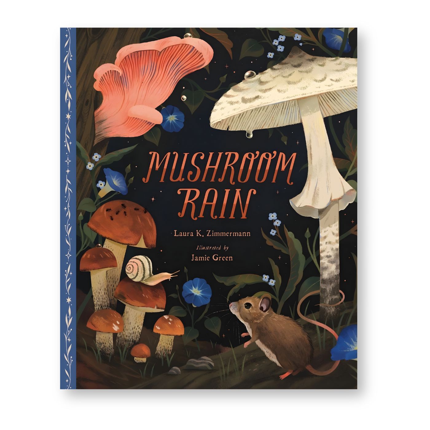 Mushroom Rain, picture book