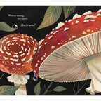 Mushroom Rain, picture book