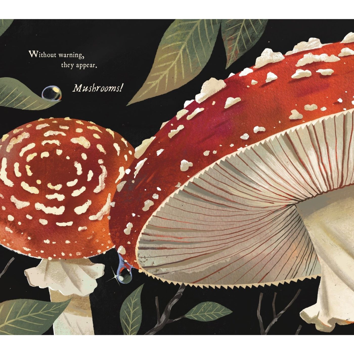 Mushroom Rain, picture book