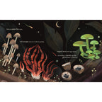 Mushroom Rain, picture book