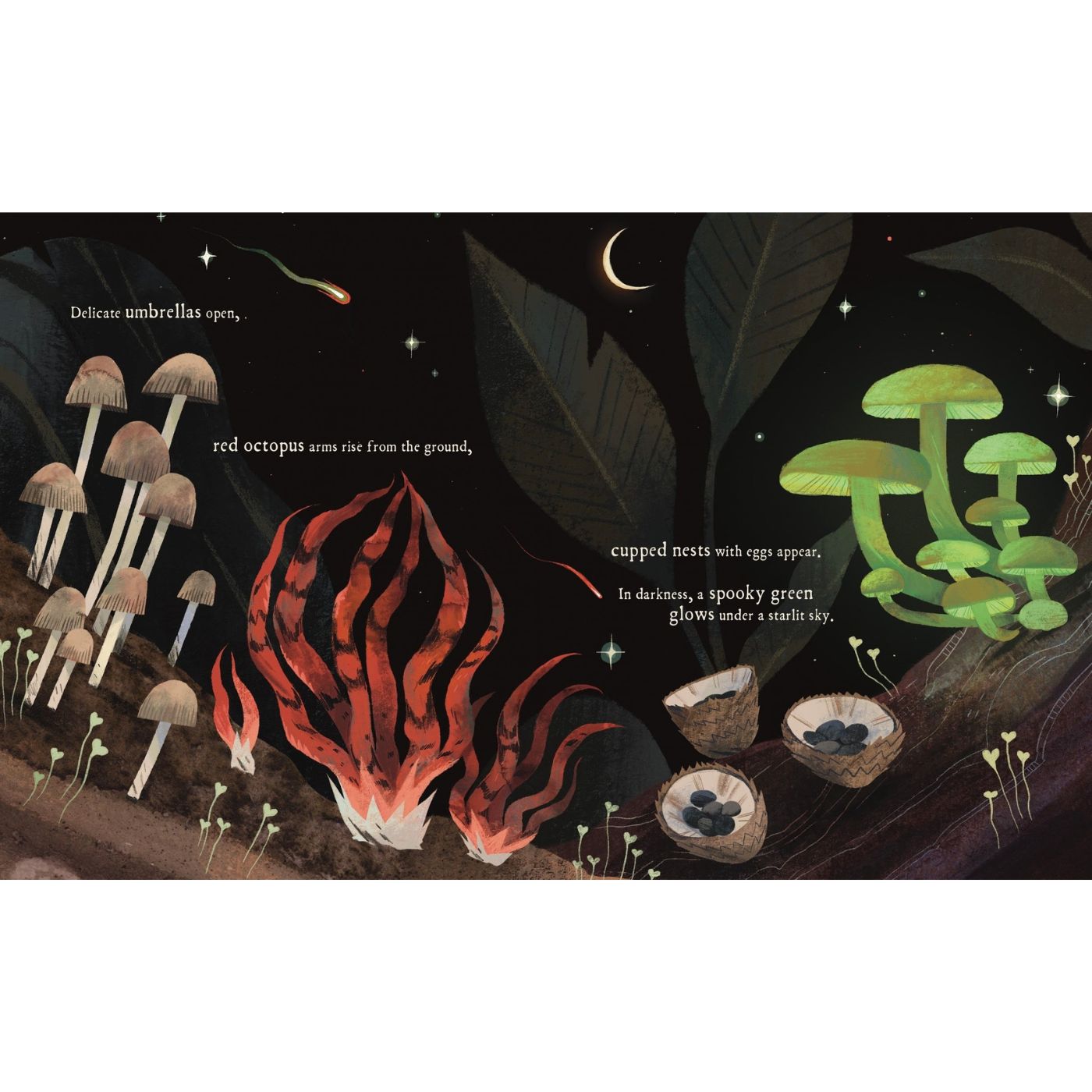 Mushroom Rain, picture book