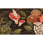 Mushroom Rain, picture book