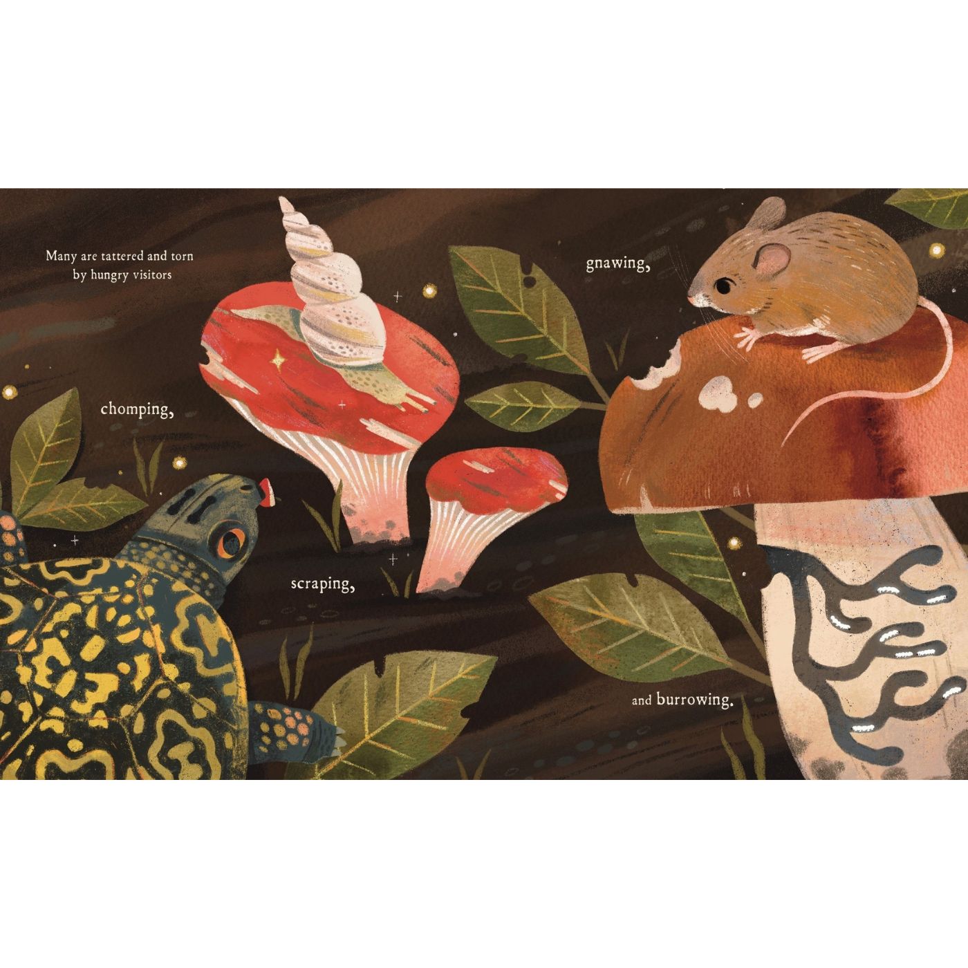 Mushroom Rain, picture book