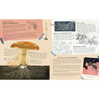 Mushroom Rain, picture book