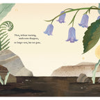Mushroom Rain, picture book