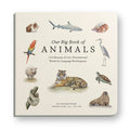 Our Big Book of Animals first words board book by Tabitha Paige