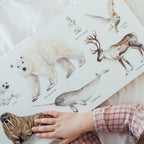 Baby board book featuring more than 100 illustrated animals