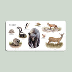 Watercolor animal vocabulary book for babies and toddlers