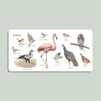 Large animal first words and seek-and-find board book for toddlers