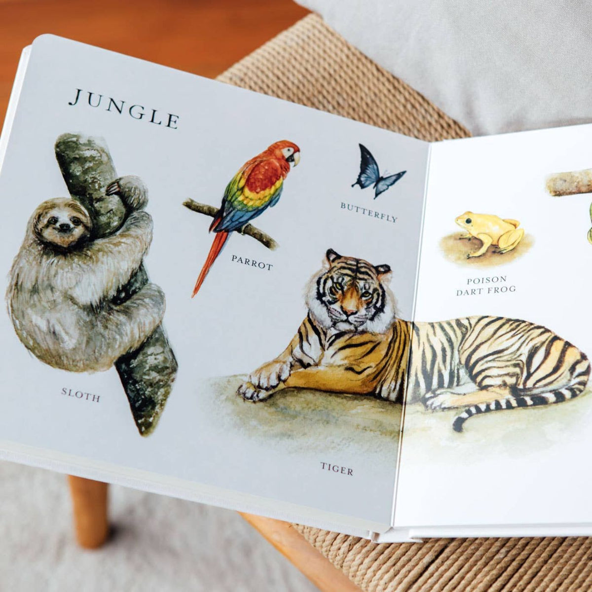 Tabitha Paige Our Big Book of Animals for ages 0 to 3