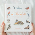 Watercolor animal vocabulary book for babies and toddlers