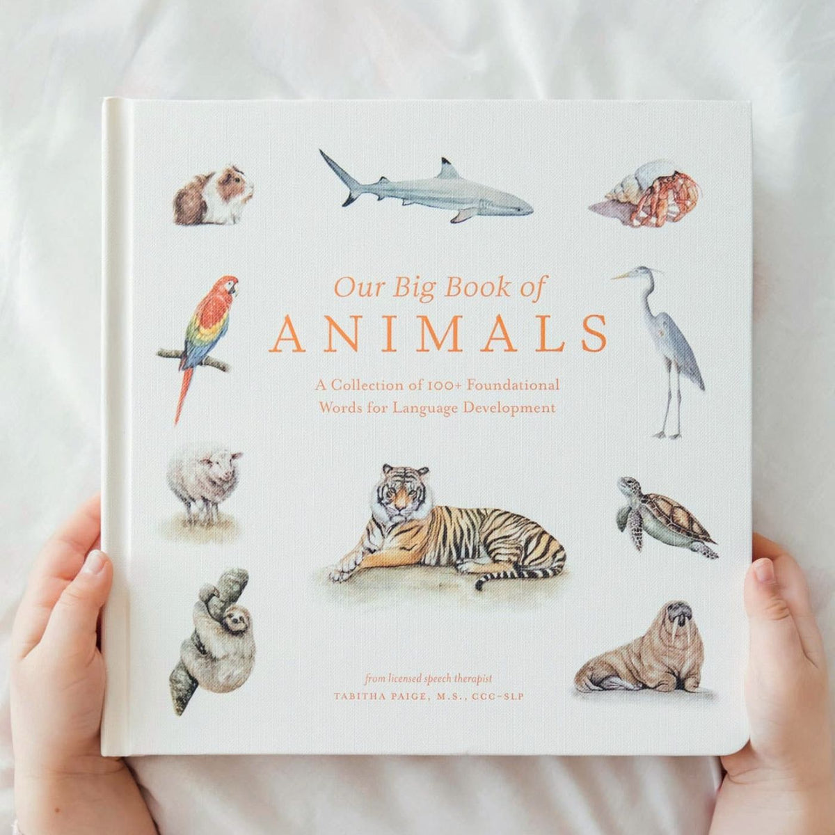 Watercolor animal vocabulary book for babies and toddlers