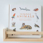 Our Big Book of Animals first words board book by Tabitha Paige