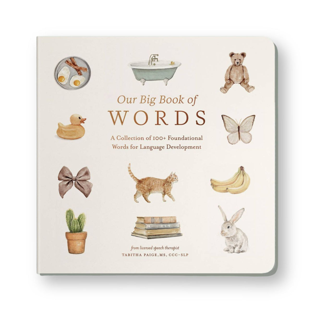 Our Big Book of First Words board book by Tabitha Paige