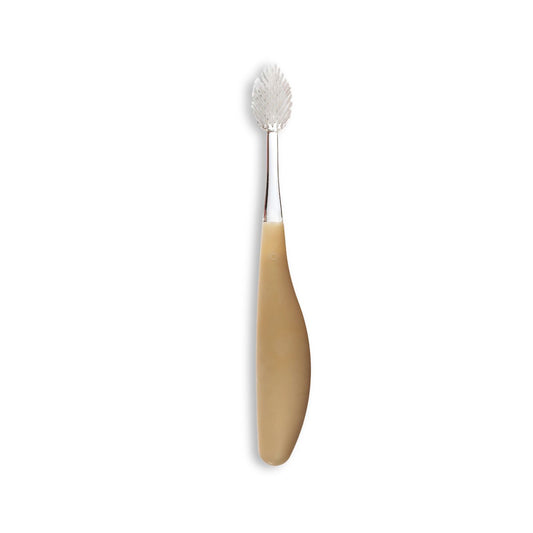 RADIUS® Source™ Brush – Eco-Friendly Toothbrush with Replaceable Head Medium