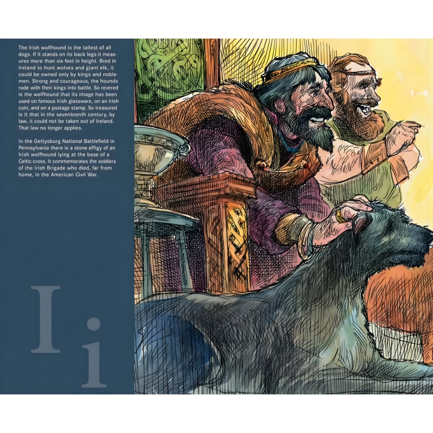S is for Shamrock: An Ireland Alphabet picture book