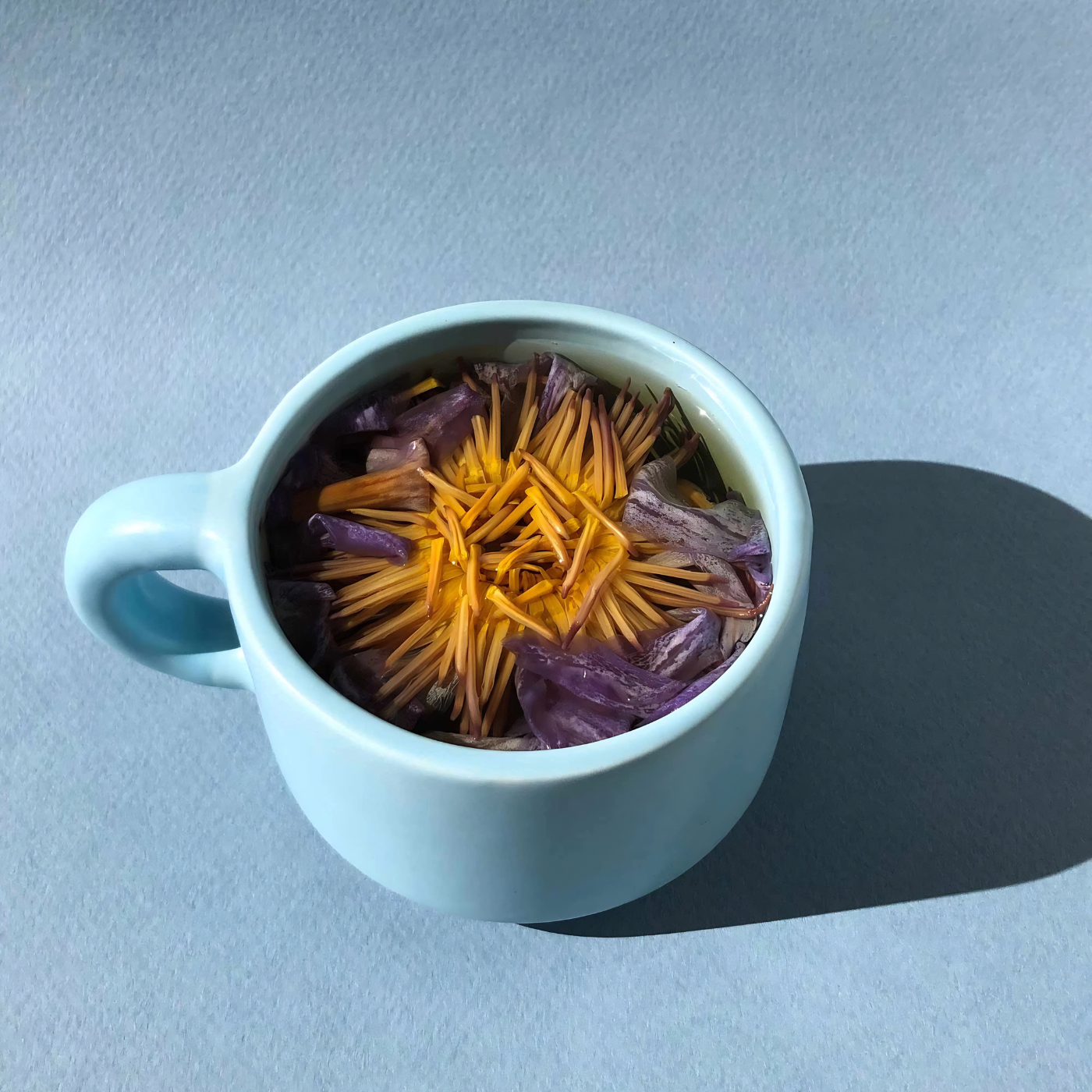 The Qi Blue Lotus Flower Tea (Herbal Tea/Tisane) in cup