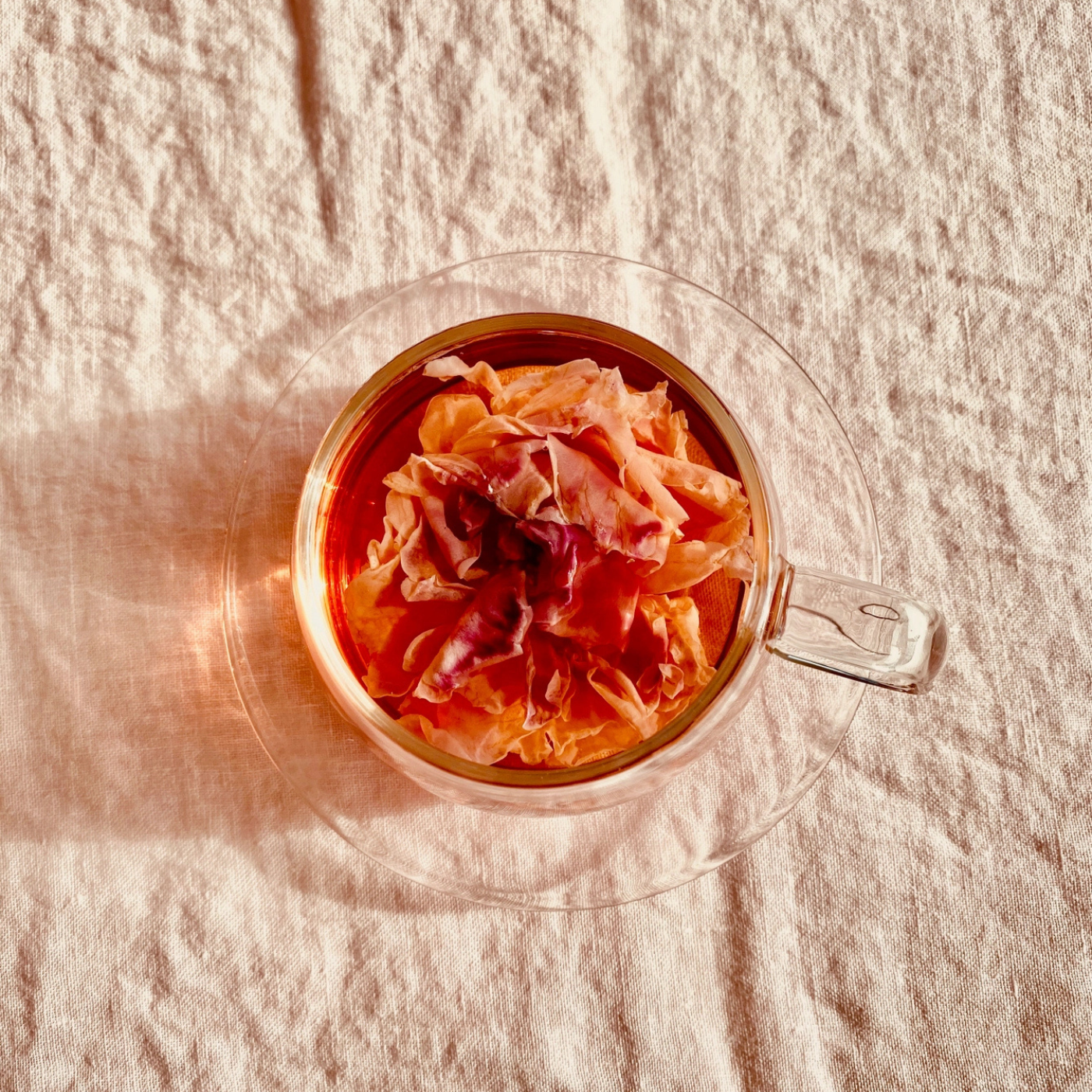 The Qi Floral Detox Tea Tasting Sigle Bag - Rose