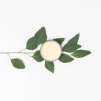 WhisperingWillowHand_CuticleSalve-Lemongrass_NewMiddletown