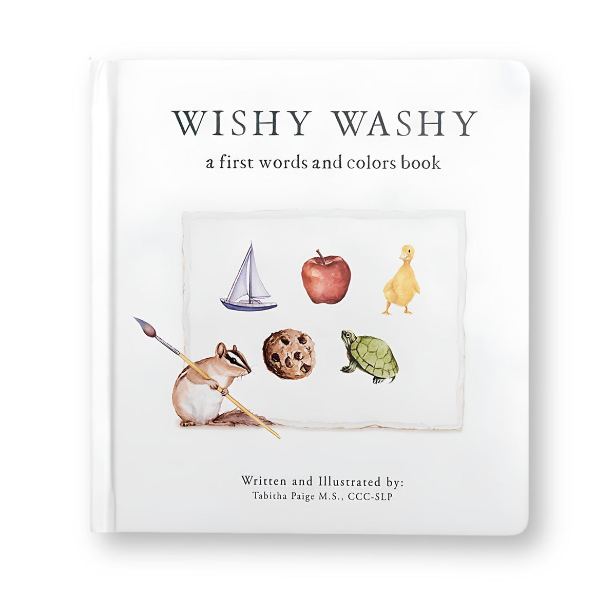 Wishy Washy first words and colors board book by Tabitha Paige