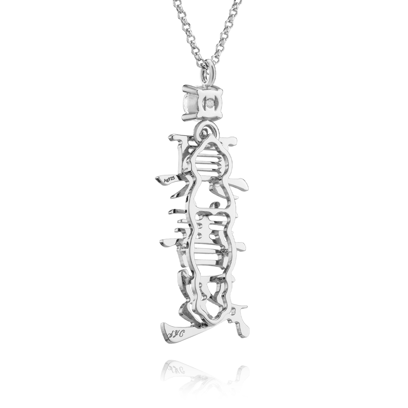 Zhen Shan Ren Words Silver Necklace Back - Shen Yun Collections