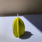 Scandles Starfruit Candle