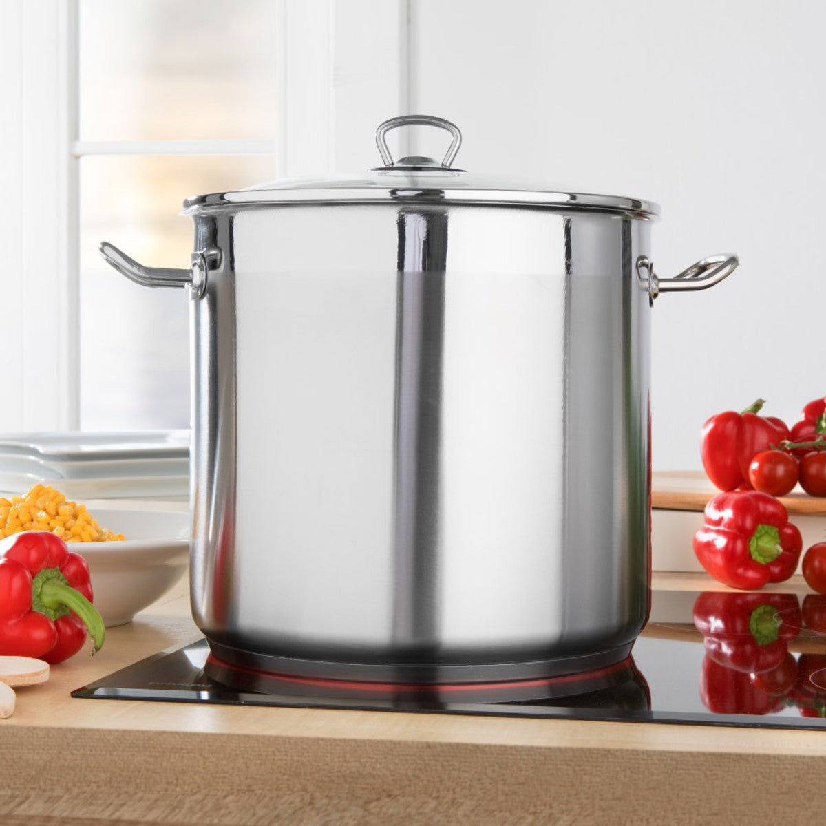 Bemus BenVita Profi 20L stainless steel jumbo stock pot with glass lid induction cooking pot