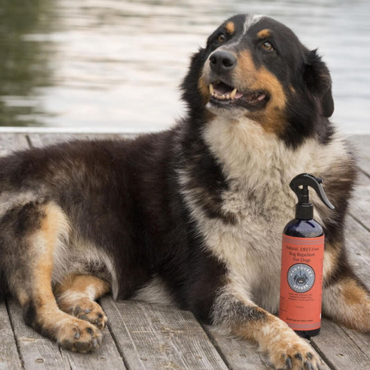 Nantucket Spider Natural Insect, Flea & Tick Repellent for Dogs