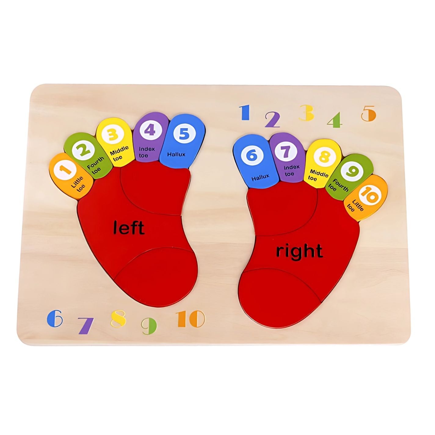 Toysters Colorful Foot Puzzle