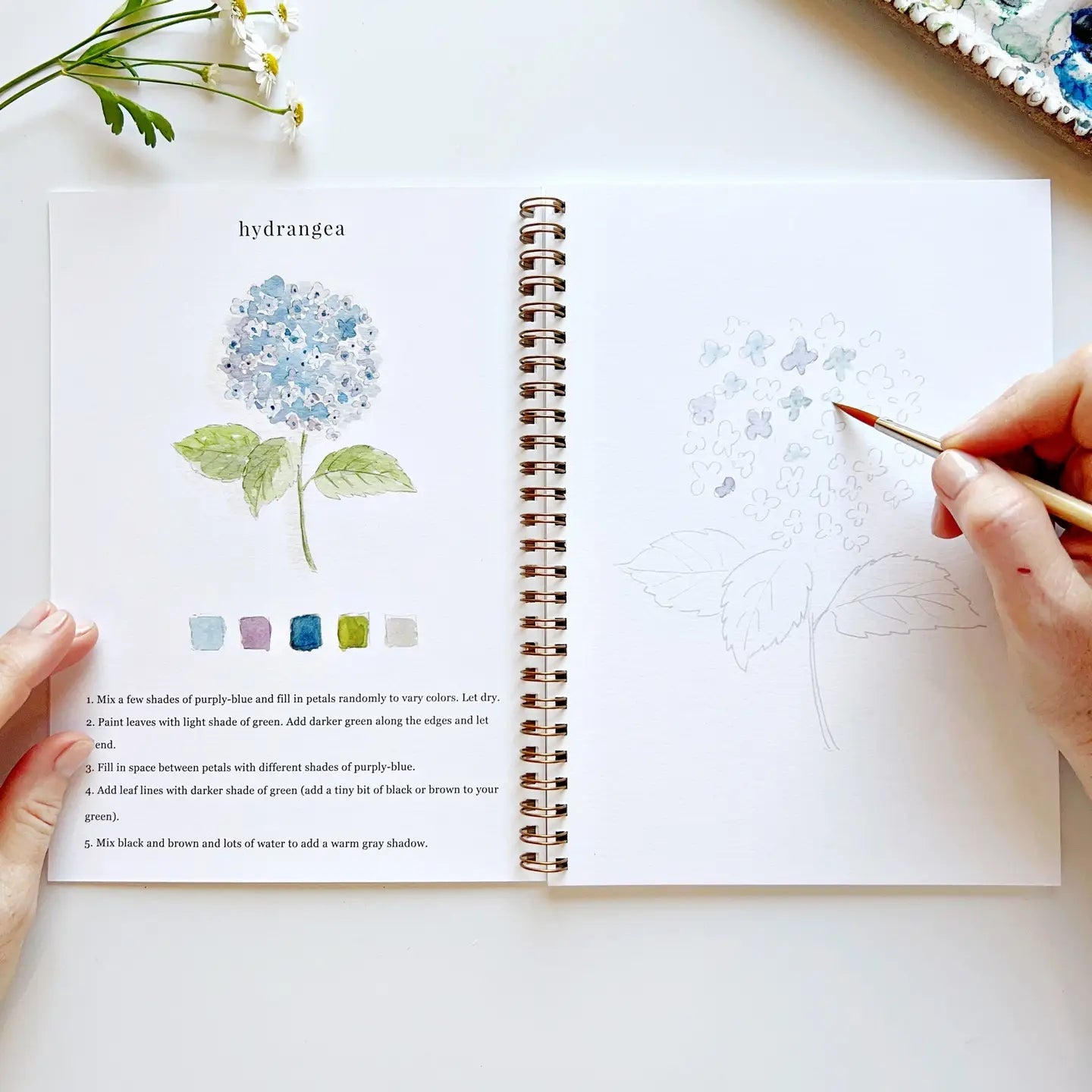 Birds Watercolor Workbook