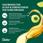 Dabur Amla Hair Oil nourishes the scalp, strengthens hair strands, and prevents greying